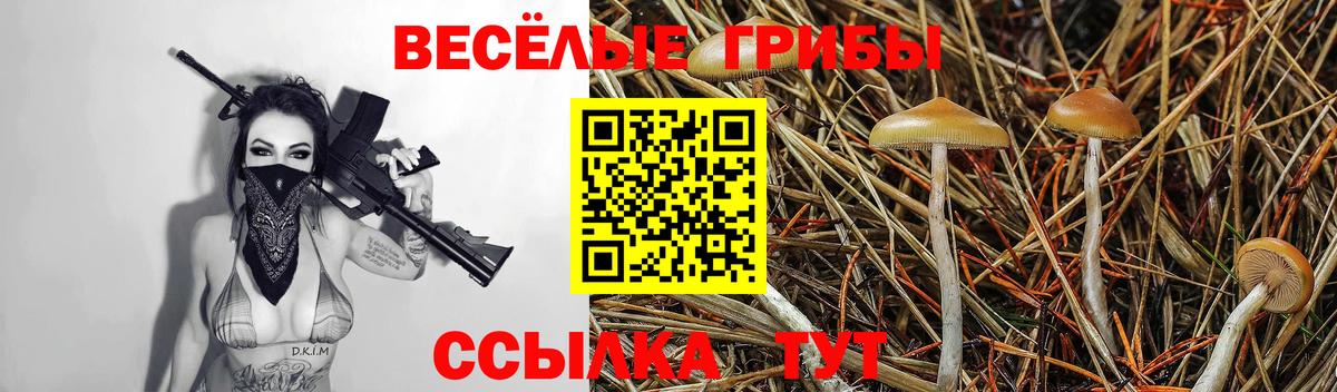 Симферополь  Псилоцибиновые грибы Psilocybe  Вход с VPN 